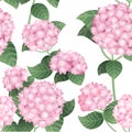 Seamless pattern of pink hydrangea flowers with green stems and leaves flat vector illustration on white background Royalty Free Stock Photo