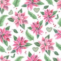 Seamless pattern with pink indoor plant poinsettia with green leaves. Top view. Made in the technique of colored pencils. Hand