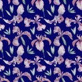 Seamless pattern of pink iris flowers on a blue background Royalty Free Stock Photo