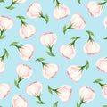 Seamless pattern with pink lisianthus flowers on blue. Vector illustration Royalty Free Stock Photo