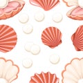 Seamless pattern with pink open and close seashell with pearl flat style illustration on white background