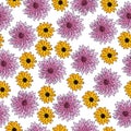 Seamless pattern of pink and orange flowers and small petals, floral bloom on a white background Royalty Free Stock Photo