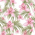 Seamless pattern of pink orchid flower and tropical palm leaves on white background. Royalty Free Stock Photo