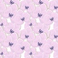Seamless pattern of pink orchid flowers. Print, textile, wallpaper, bedroom decor Royalty Free Stock Photo