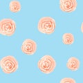 seamless pattern of pink pastel rose watercolor for isolate blue Royalty Free Stock Photo