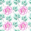 Seamless pattern of pink peonies with leaves on a white background. Illustration of felt-tip pens.