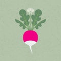 Seamless pattern. Pink radish, leaves and flowers on shabby background.