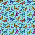 Seamless pattern of pink, red, green, yellow butterfly Royalty Free Stock Photo