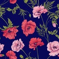 Seamless pattern with pink and red poppy flowers in botanical st Royalty Free Stock Photo