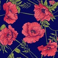 Seamless pattern with pink and red poppy flowers in botanical st Royalty Free Stock Photo