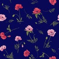 Seamless pattern with pink and red poppy flowers in botanical st Royalty Free Stock Photo