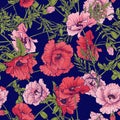 Seamless pattern with pink and red poppy flowers in botanical st Royalty Free Stock Photo