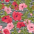 Seamless pattern with pink and red poppy flowers in botanical st Royalty Free Stock Photo