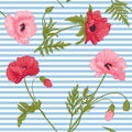 Seamless pattern with pink and red poppy flowers in botanical st Royalty Free Stock Photo