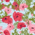 Seamless pattern with pink and red poppy flowers in botanical st Royalty Free Stock Photo