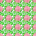 Seamless pattern with pink roses, green leaves. Hand draw flower. Line brush style. Vector background. For wrapping, Royalty Free Stock Photo