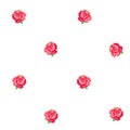 Seamless pattern of pink roses with green leaves on a white background.