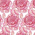 Seamless pattern pink roses