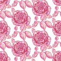 Seamless pattern pink roses