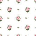 Seamless pattern with pink roses. Vector illustration.