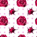 Seamless pattern with pink roses on white background with polka dots Royalty Free Stock Photo