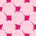Seamless pattern with pink roses, white stroke. Hand draw texture flower. Line brush style. Vector background Royalty Free Stock Photo
