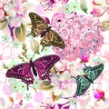 Seamless pattern of pink sakura flowers with butterflies. hand drawing. Not AI, Vector illustration Royalty Free Stock Photo