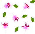 Seamless pattern with pink semitransparent flowers of fuchsia - vector illustration