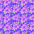 seamless pattern of pink silhouettes and blue contours of flowers on a blue background