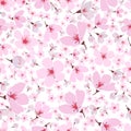 Seamless pattern of pink spring Sakura blossom