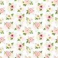 Seamless pattern with pink and white flowers. Vector illustration.