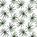 seamless pattern with plant of cypriol
