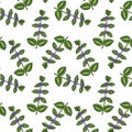 seamless pattern with plant of peppermint