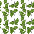 seamless pattern with plant of shiso