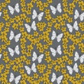 Seamless pattern plumeria flowers butterflies sketch, white gold mustard yellow, black contour on grey background. simple ornament Royalty Free Stock Photo