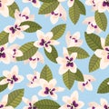 Seamless pattern with plumeria flowers, rich leaves, fresh foliage. Nature design with sakura blossoms for wrapping paper, cover, Royalty Free Stock Photo