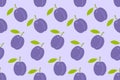 Seamless pattern with Plums