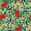 Seamless pattern with poinsettia and blueberries on beige background Royalty Free Stock Photo