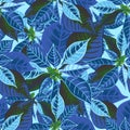Seamless pattern with poinsettia. Christmas flower bouquet ornament in blue color Royalty Free Stock Photo
