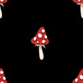 Seamless Pattern with Poisonous Mushroom, Fly Agaric