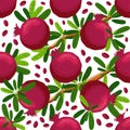 Seamless pattern with pomegranates. Decorative patterns of the pomegranate fruit