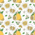 Seamless pattern pomello food decoration. Vegetarian tasty natural. Healthy diet Royalty Free Stock Photo