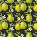Seamless pattern pomelo citrus. Fresh yellow green fruit. Branches with leaves, flower. Hand drawn watercolor