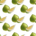 seamless pattern with pomelo