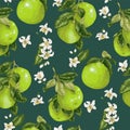 Seamless pattern with pomelo fruits, citrus fruits and flowers i
