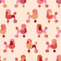 Seamless pattern with poodles. Vector Royalty Free Stock Photo