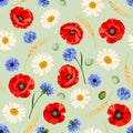 Seamless pattern with poppies, daisies and cornflowers. Vector illustration. Royalty Free Stock Photo