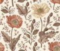 Seamless pattern Poppy Poppies Beautiful isolated floral Flowers realistic Engraving drawing Vector Illustration Vintage