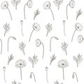 Seamless pattern Poppy Wildflowers line art Flower drawing illustration Black on white background. Monochrome floral