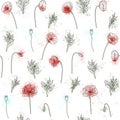 Seamless pattern Poppy Wildflowers line art and red green Flower drawing illustration Black on white background Royalty Free Stock Photo